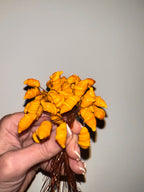 Fruttini Charms in Vetro di Murano
