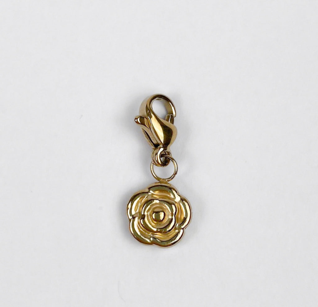 Charms in Acciaio Inox