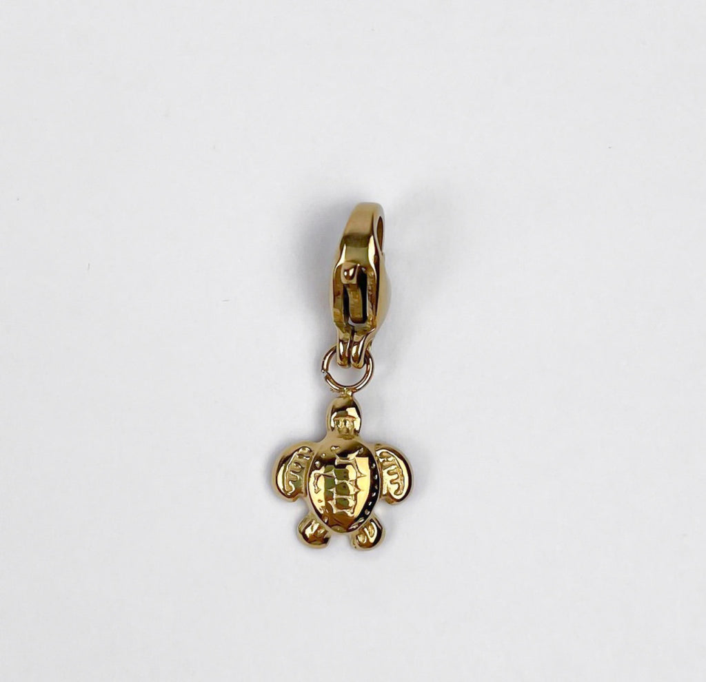 Charms in Acciaio Inox