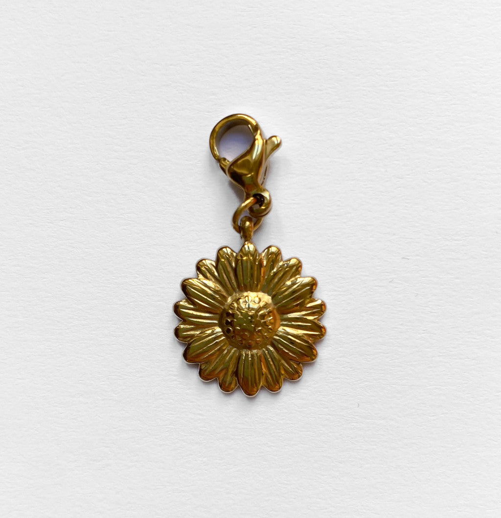 Charms in Acciaio Inox