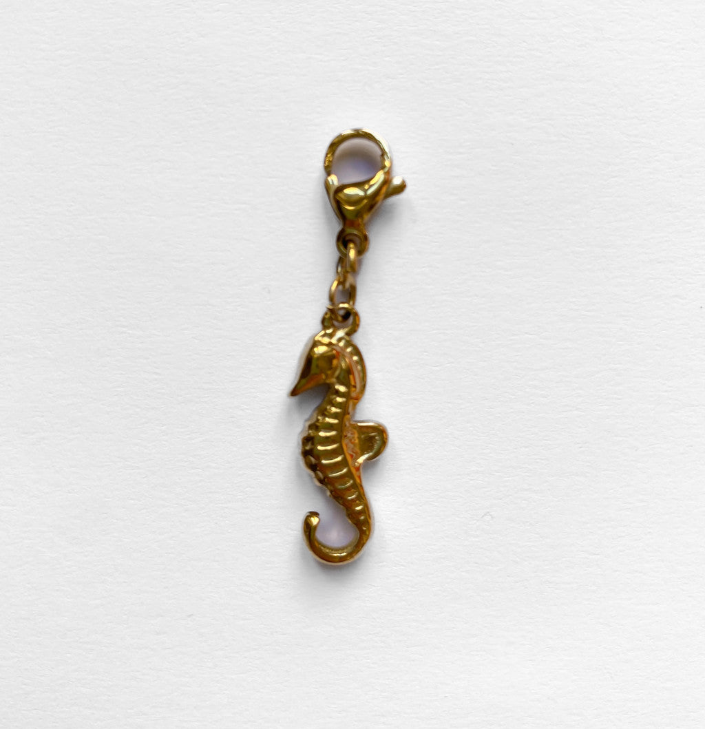 Charms in Acciaio Inox