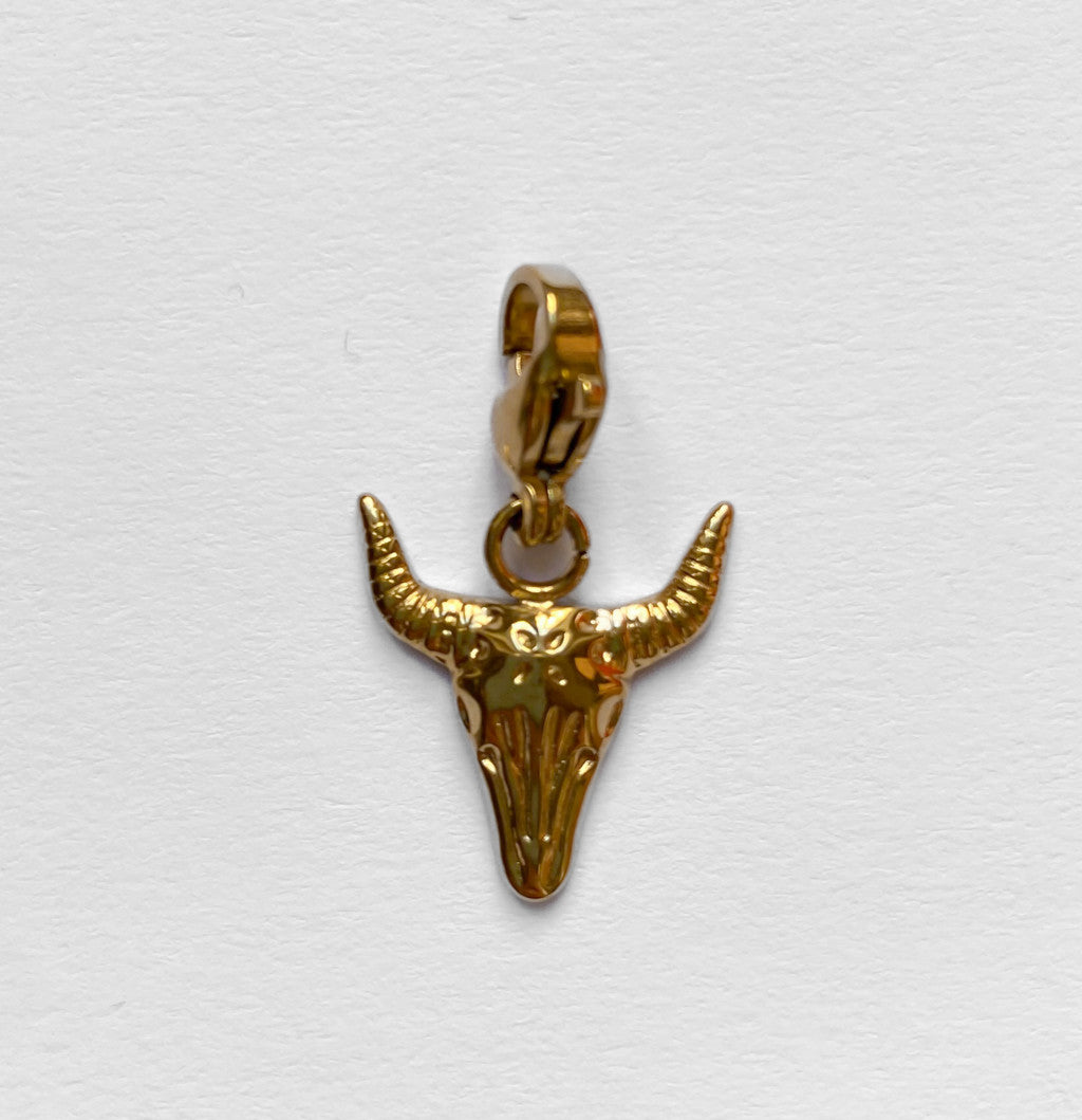 Charms in Acciaio Inox