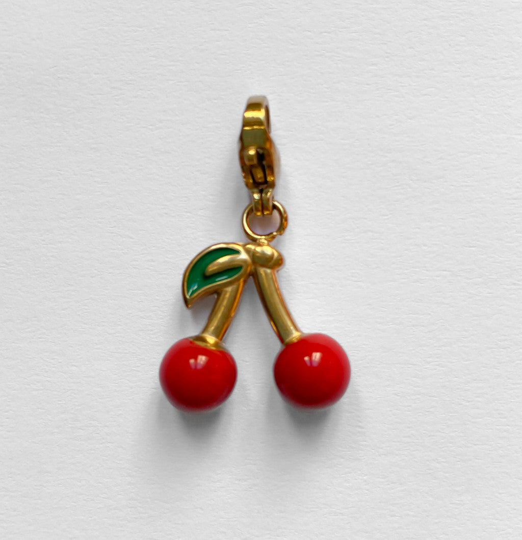 Charms in Acciaio Inox