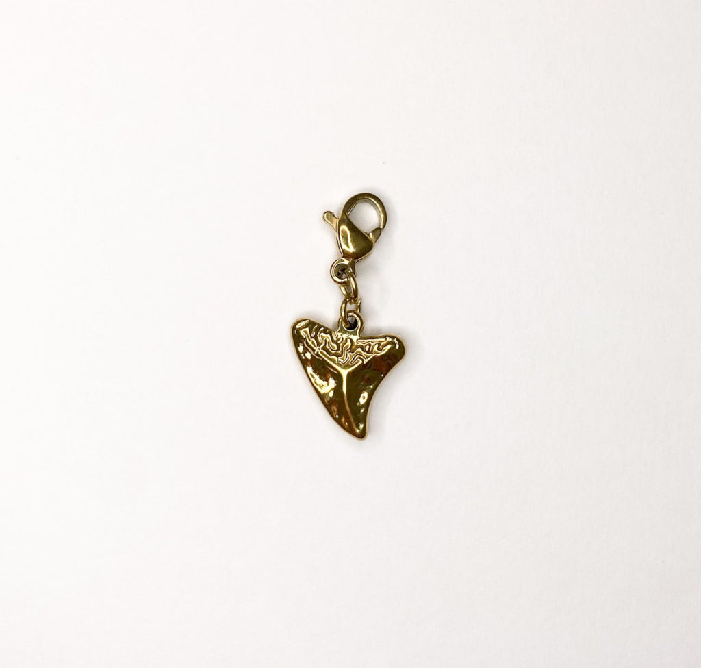 Charms in Acciaio Inox