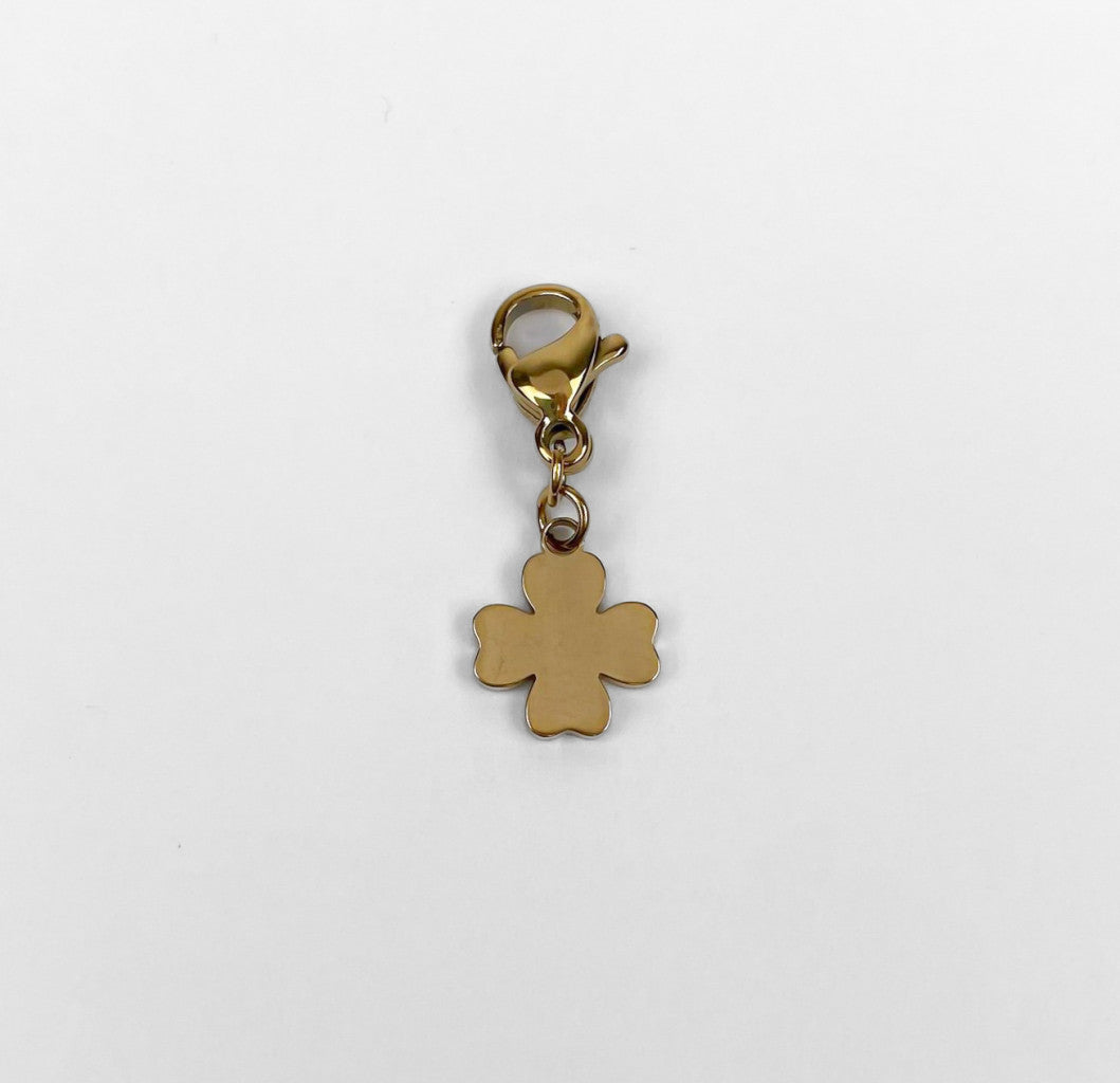 Charms in Acciaio Inox